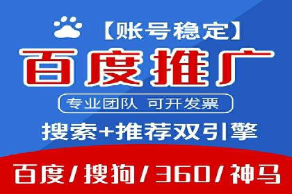百度竞价运营的挑战与机遇：成功案例探讨